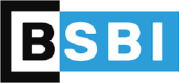 Berlin School of Business and Innovation