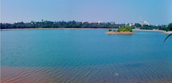 Manipal International University
